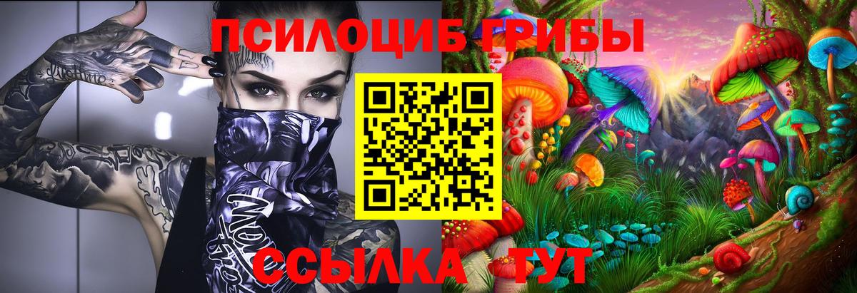 Томск  Псилоцибиновые грибы MAGIC MUSHROOMS  где найти   Вход с VPN  Галлюциногенные грибы мухоморы 